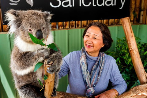Moonlit Sanctuary Wildlife Conservation Park Daytime General Entry Ticket - New Castle Holiday 0