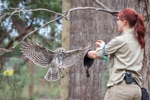 Moonlit Sanctuary Wildlife Conservation Park Daytime General Entry Ticket - New Castle Holiday 1