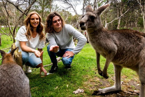 Moonlit Sanctuary Wildlife Conservation Park Daytime General Entry Ticket - New Castle Holiday 2