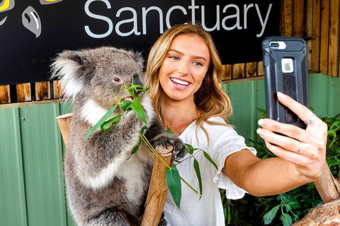Moonlit Sanctuary Wildlife Conservation Park Daytime General Entry Ticket - New Castle Holiday 4