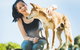 Moonlit Sanctuary Wildlife Conservation Park Daytime General Entry Ticket - thumb 5