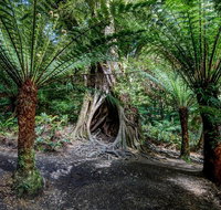 Adelaide to Melbourne 3-Day Trip through Grampians and Great Ocean Road - New Castle Holiday