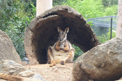 Featherdale Wildlife Park General Admission - New Castle Holiday 2