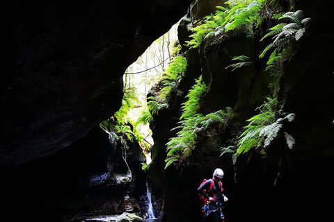 Full-Day Canyoning Experience At Stunning Empress Canyon - New Castle Holiday 2
