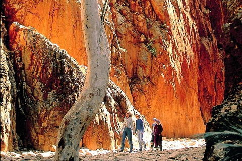 West MacDonnell Ranges Day Trip From Alice Springs - New Castle Holiday 3