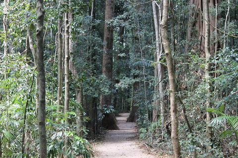 Eumundi Markets And Sunshine Coast Day Trip From Brisbane - New Castle Holiday 4