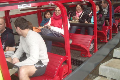 Blue Mountains Private Tour With Wildlife Park And River Cruise - New Castle Holiday 0