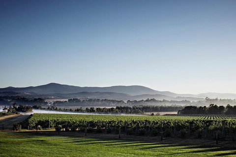 Chauffeur Driven Yarra Valley Group Wine Tour - Up To 7 - New Castle Holiday 2