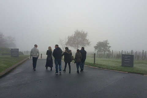 Chauffeur Driven Yarra Valley Group Wine Tour - Up To 7 - New Castle Holiday 4