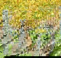 Margaret River Indulge and Discover Day Tour - New Castle Holiday