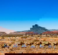Alice Springs Camel Tour - New Castle Holiday