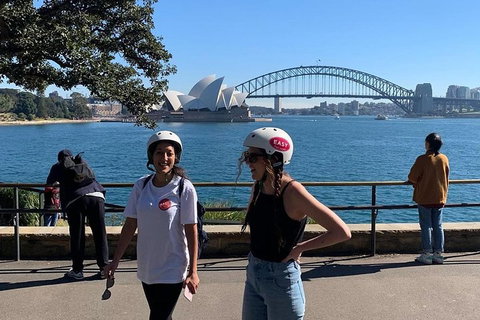 The Sydney Express - New Castle Holiday 1
