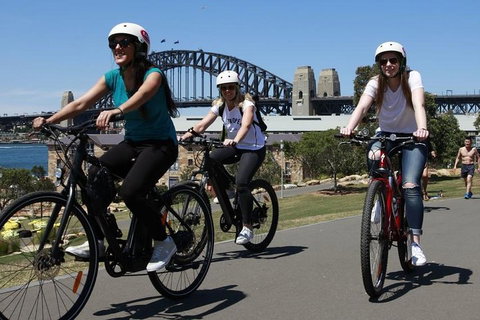 The Sydney Express - New Castle Holiday 3