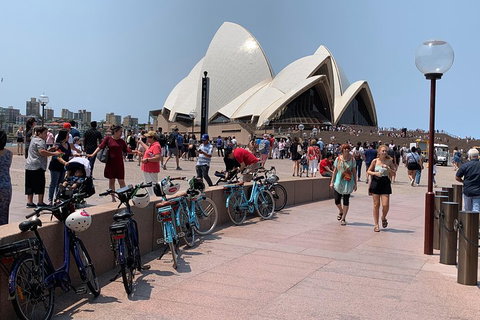The Sydney Express - New Castle Holiday 4