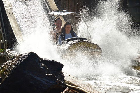 Theme Park Transfer From Brisbane - New Castle Holiday 1
