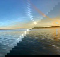 Aquascene Magnetic Island Discovery Tour - New Castle Holiday