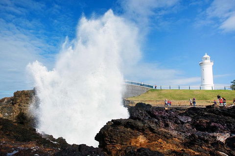 Private Grand Pacific Drive And Southern Highlands Tour - New Castle Holiday 4