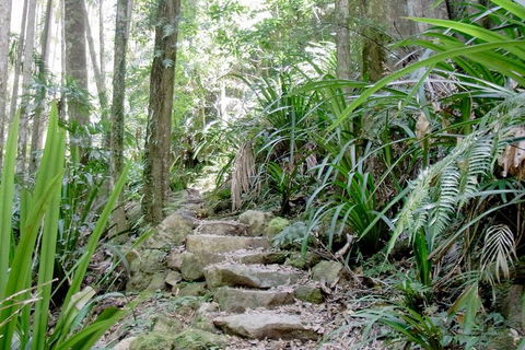 Byron Bay Combo: Minyon Falls And Hinterland Day Trip And Learn To Surf At Byron Bay - New Castle Holiday 3
