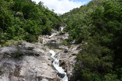 Behana Canyon Rainforest And Waterfall Experience - New Castle Holiday 1