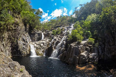 Behana Canyon Rainforest And Waterfall Experience - New Castle Holiday 5