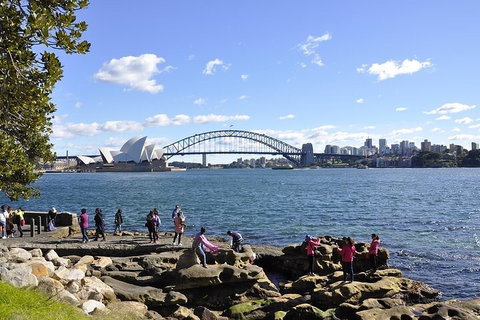 Sydney Sightseeing Bus Tours - New Castle Holiday 2