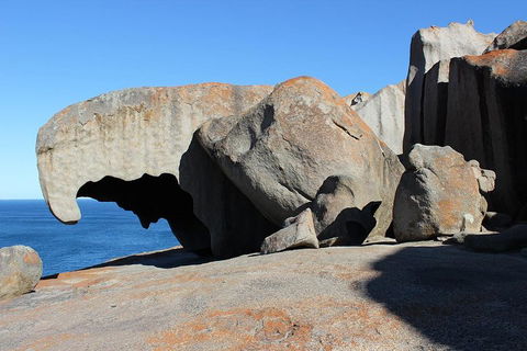 Kangaroo Island Personal Group Tours - New Castle Holiday 2