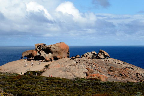 Kangaroo Island Personal Group Tours - New Castle Holiday 5