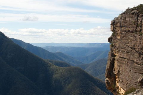 Inside The Greater Blue Mountains World Heritage - A Wildlife Safari Overnight - New Castle Holiday 4