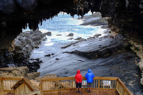 Full-Day Kangaroo Island Safari From Penneshaw - New Castle Holiday 1