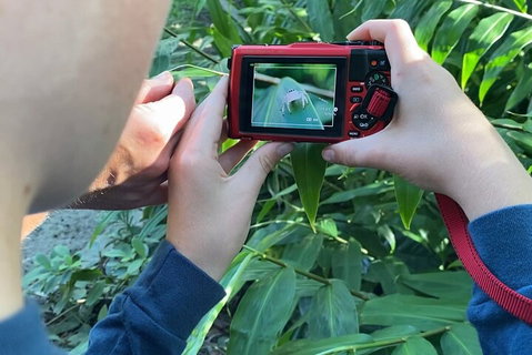 Let's Go Buggin & Let's Go Shroomin - Photography & Nature Walking Tours - New Castle Holiday 2