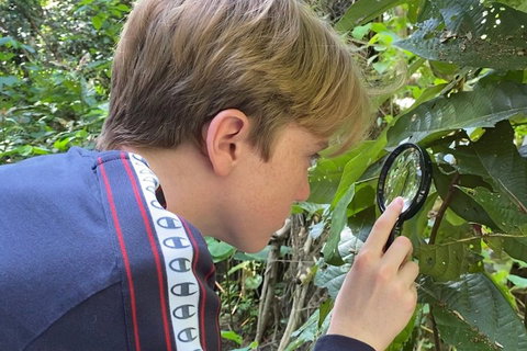 Let's Go Buggin & Let's Go Shroomin - Photography & Nature Walking Tours - New Castle Holiday 3