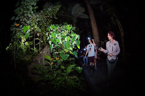 Let's Go Buggin & Let's Go Shroomin - Photography & Nature Walking Tours - New Castle Holiday 4