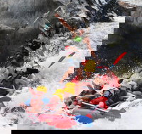 Barron Gorge National Park Half-Day White Water Rafting from Cairns or Port Douglas - New Castle Holiday