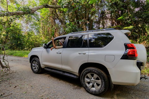 Full Day Cooktown Private Tour - New Castle Holiday 3