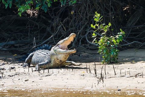 Full Day Cooktown Private Tour - New Castle Holiday 4