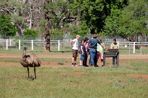 Yura Udnyu - Our Culture, Your Culture (Aboriginal Cultural Walk) - New Castle Holiday 1