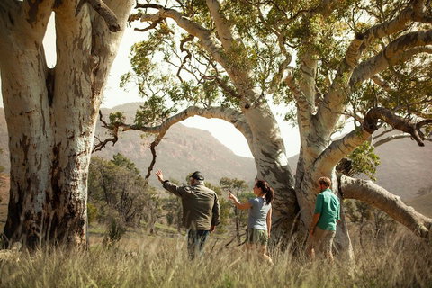 Yura Udnyu - Our Culture, Your Culture (Aboriginal Cultural Walk) - New Castle Holiday 5