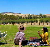 Private Picnic and Wine Tasting Experience in Barossa Valley - New Castle Holiday