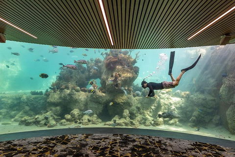 Whitehaven Beach And Daydream Island Cruise - New Castle Holiday 4