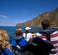 Seal Island Boat Tour from Victor Harbor - New Castle Holiday