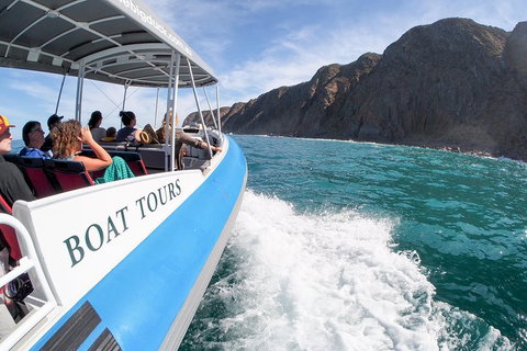 Southern Ocean Adventure From Victor Harbor - New Castle Holiday 0