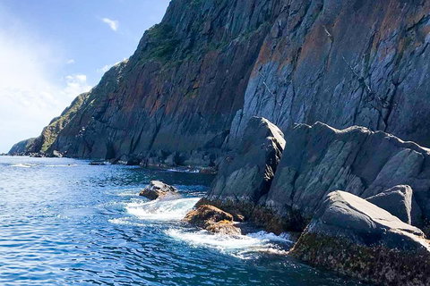 Southern Ocean Adventure From Victor Harbor - New Castle Holiday 3