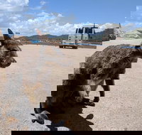 Magnetic Island Tour Maggie Comprehensive - New Castle Holiday