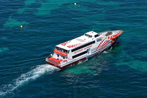 Discover Rottnest With Ferry & Bus Tour From Perth Or Fremantle - New Castle Holiday 3