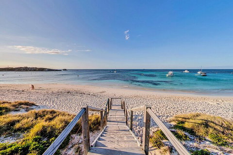 Discover Rottnest With Ferry & Bus Tour From Perth Or Fremantle - New Castle Holiday 4