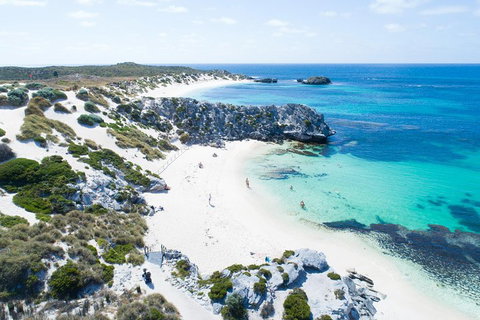 Discover Rottnest With Ferry & Bus Tour From Perth Or Fremantle - New Castle Holiday 5