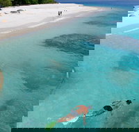 Fitzroy Island Day Trip from Cairns - New Castle Holiday