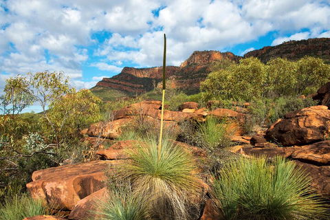 6-Day Eyre Peninsula & Flinders Ranges Adventure Tour - New Castle Holiday 1