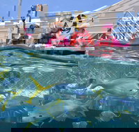 Outer Reef Pontoon Experience from Cairns - New Castle Holiday