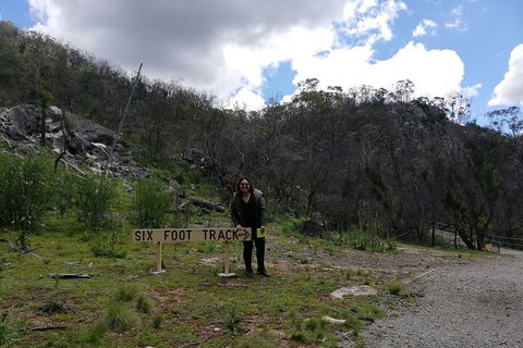 Blue Mountains Private Tour From Sydney With Jenolan Caves - New Castle Holiday 3